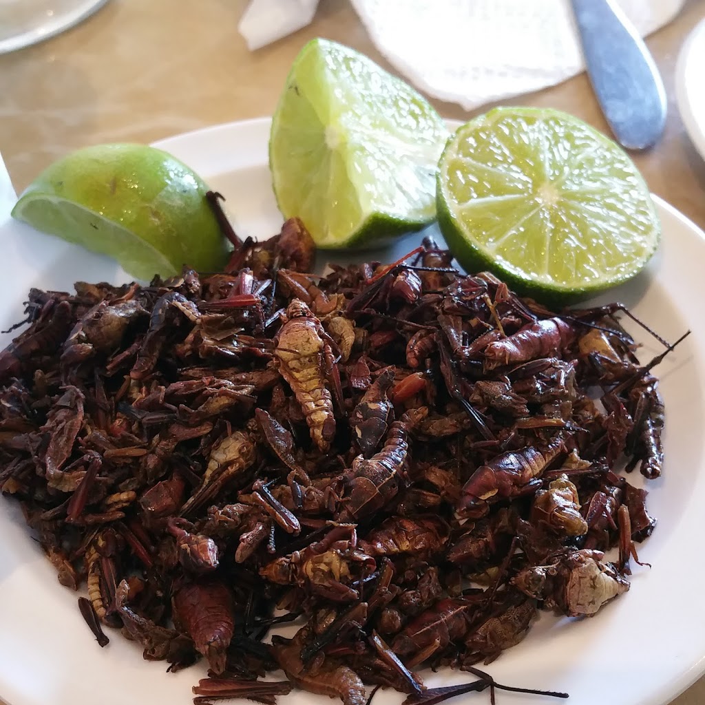 El Moctezuma Restaurant | 809 N Fairview St, Santa Ana, CA 92703, USA | Phone: (714) 759-7115