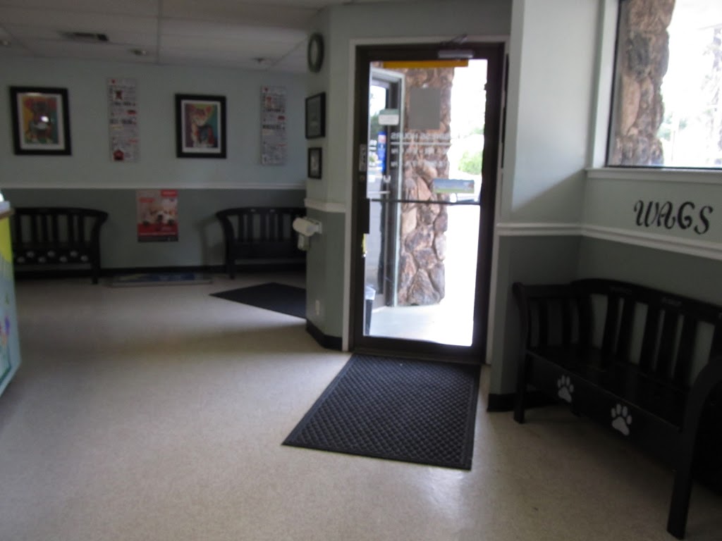 Sylvan Corners Pet Hospital | 7548 Old Auburn Rd, Citrus Heights, CA 95610, USA | Phone: (916) 726-5200