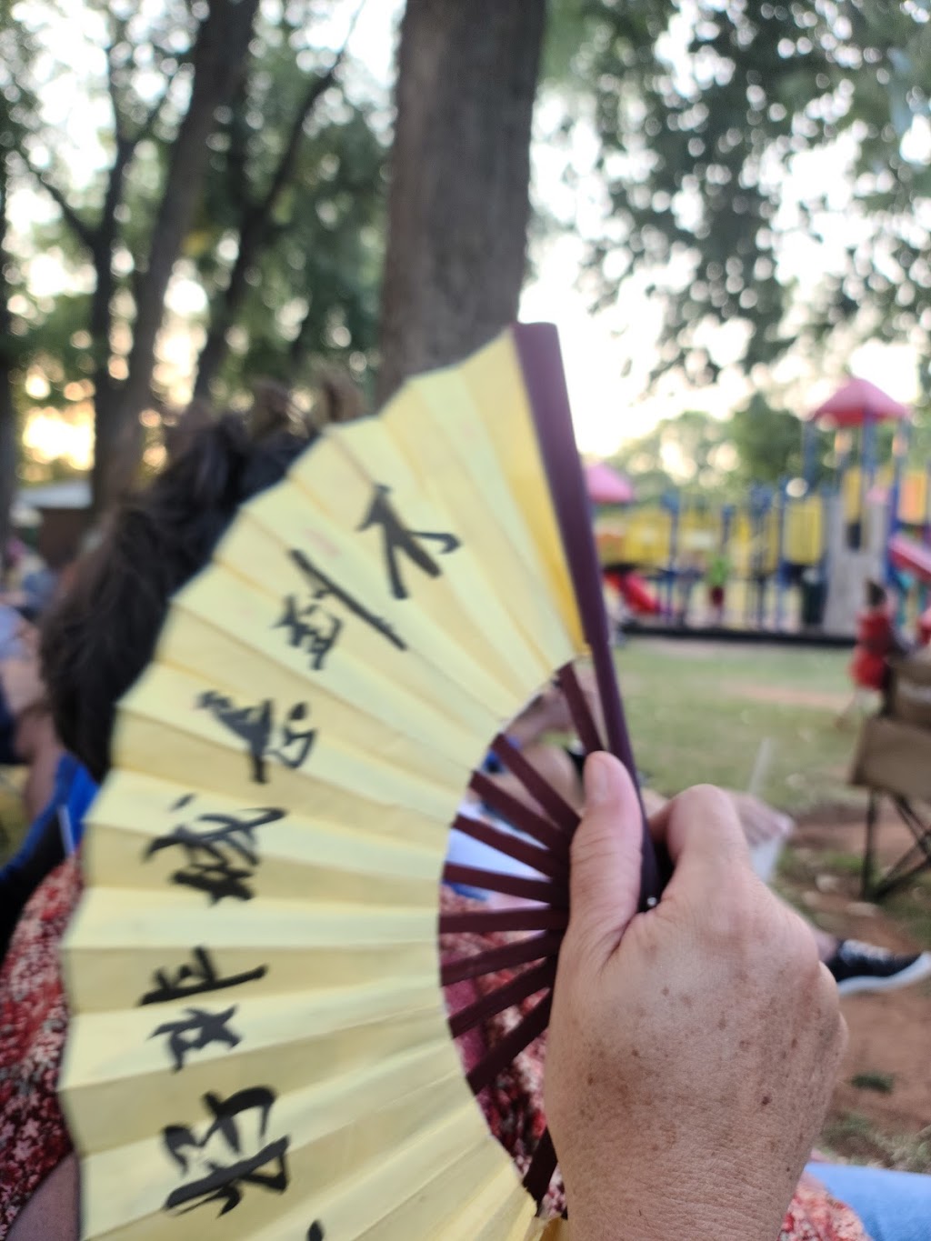 Lions Park | 307 SW 5th St, Blanchard, OK 73010, USA | Phone: (405) 485-9392