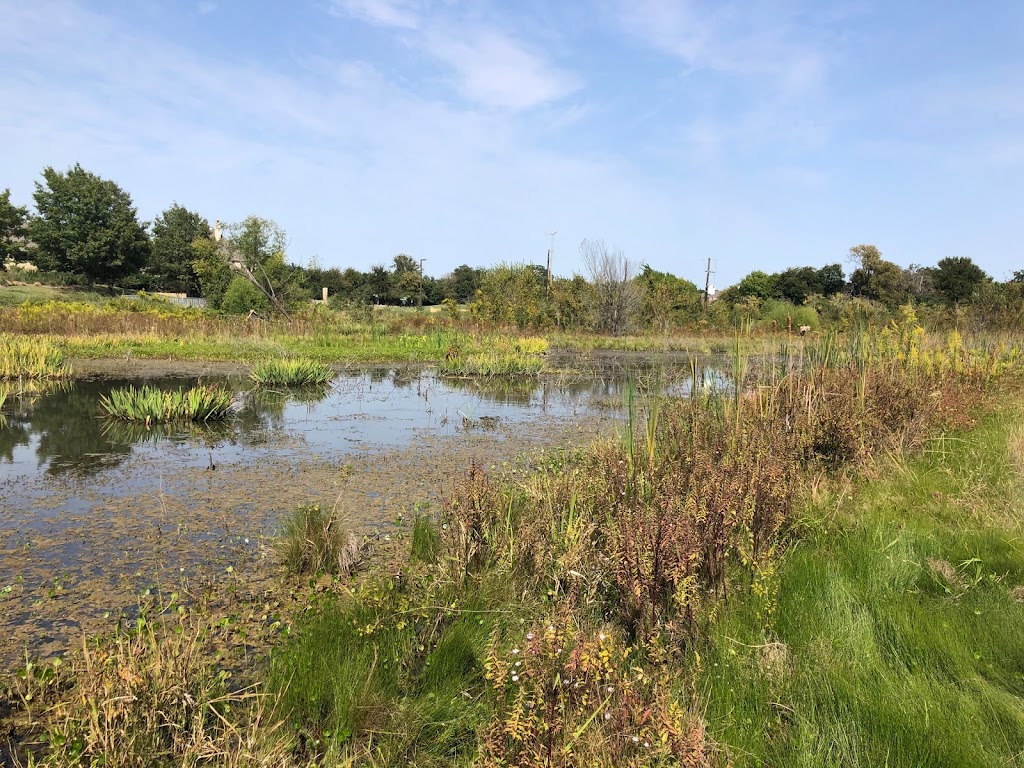 Connemara Meadow Nature Preserve | Alma Dr, Allen, TX 75013, USA | Phone: (469) 200-4085
