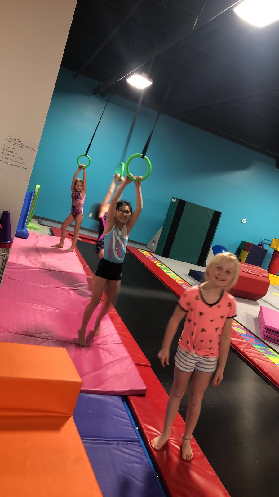 The Gym Nest Gymnastics and Preschool | 17 N Fisher Park Way, Eagle, ID 83616, USA | Phone: (208) 278-2011