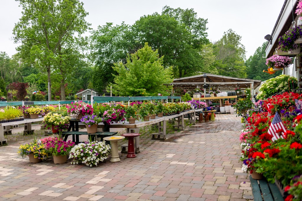 Red Hill Nursery | 241 S Little Tor Rd, New City, NY 10956, USA | Phone: (845) 634-2498