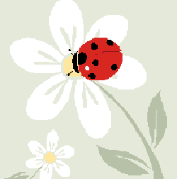 Ladybug Exterminating LLC | 31409 St Andrews, Cleveland, OH 44145, USA | Phone: (440) 899-2847