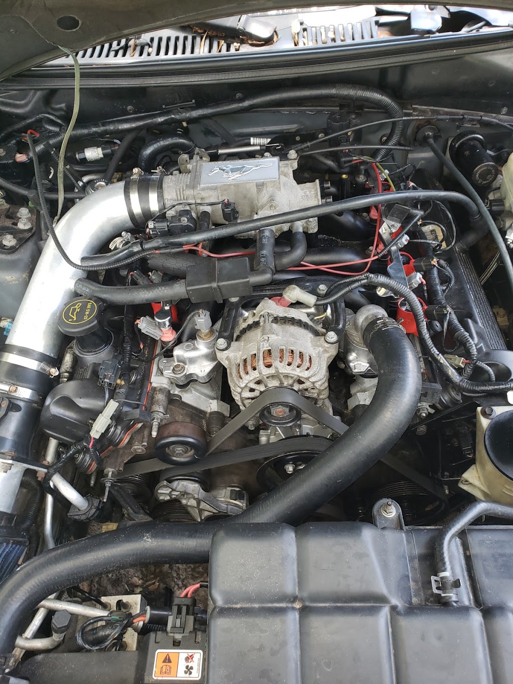 Internal Engine Specialist, LLC | 4330 E County Rd 542, Lakeland, FL 33801 | Phone: (863) 500-2306