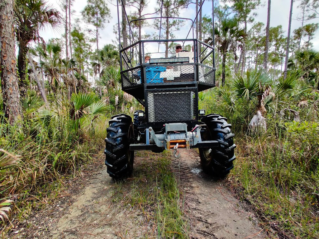 Everglades Swamp Buggy Adventure | 50910 Tamiami Trail E, Ochopee, FL 34141, USA | Phone: (239) 825-5762