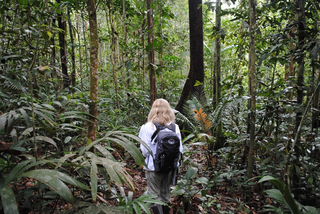 Amazonia Expeditions Inc | 10305 Riverburn Dr, Tampa, FL 33647, USA | Phone: (800) 262-9669