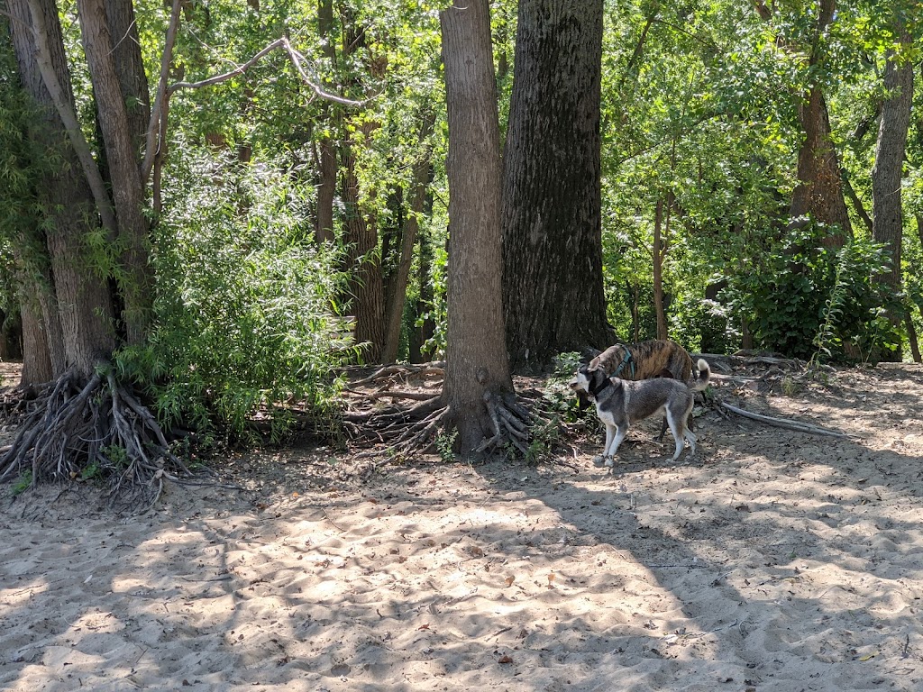 Minnehaha Dog Park | 5399 Minnehaha Park Dr S, Minneapolis, MN 55417, USA | Phone: (612) 230-6400