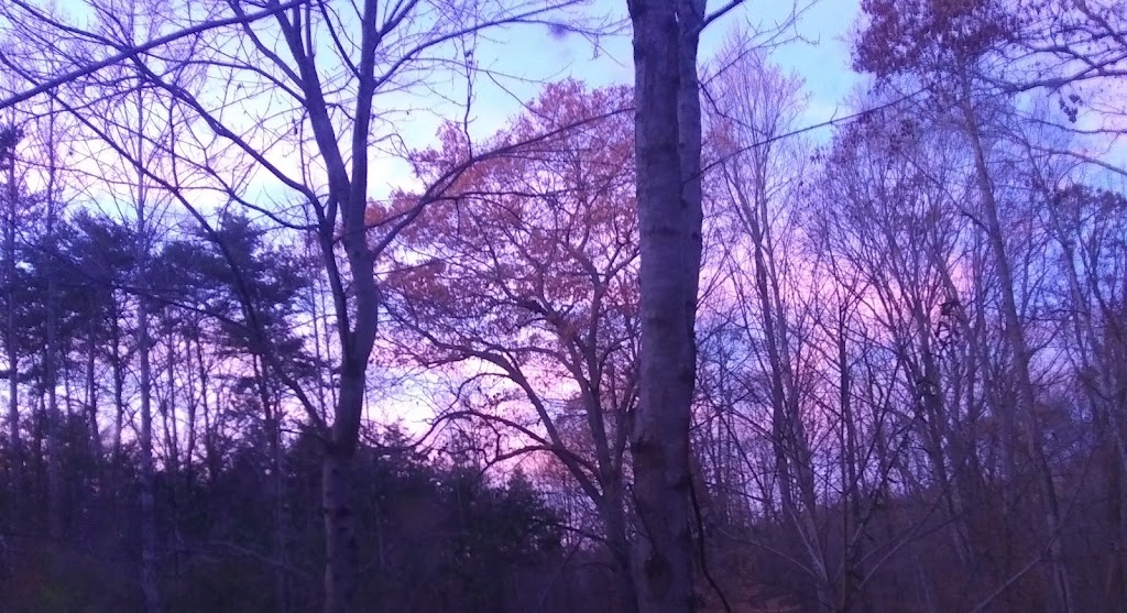 Roadside LLC | 967 Stone Mountain Rd, Stoneville, NC 27048, United States | Phone: (336) 573-3019