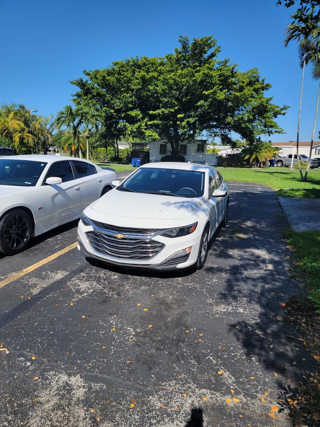 USA Auto Glass, Inc. | 30000 S Dixie Hwy, Homestead, FL 33033, USA | Phone: (305) 247-9100