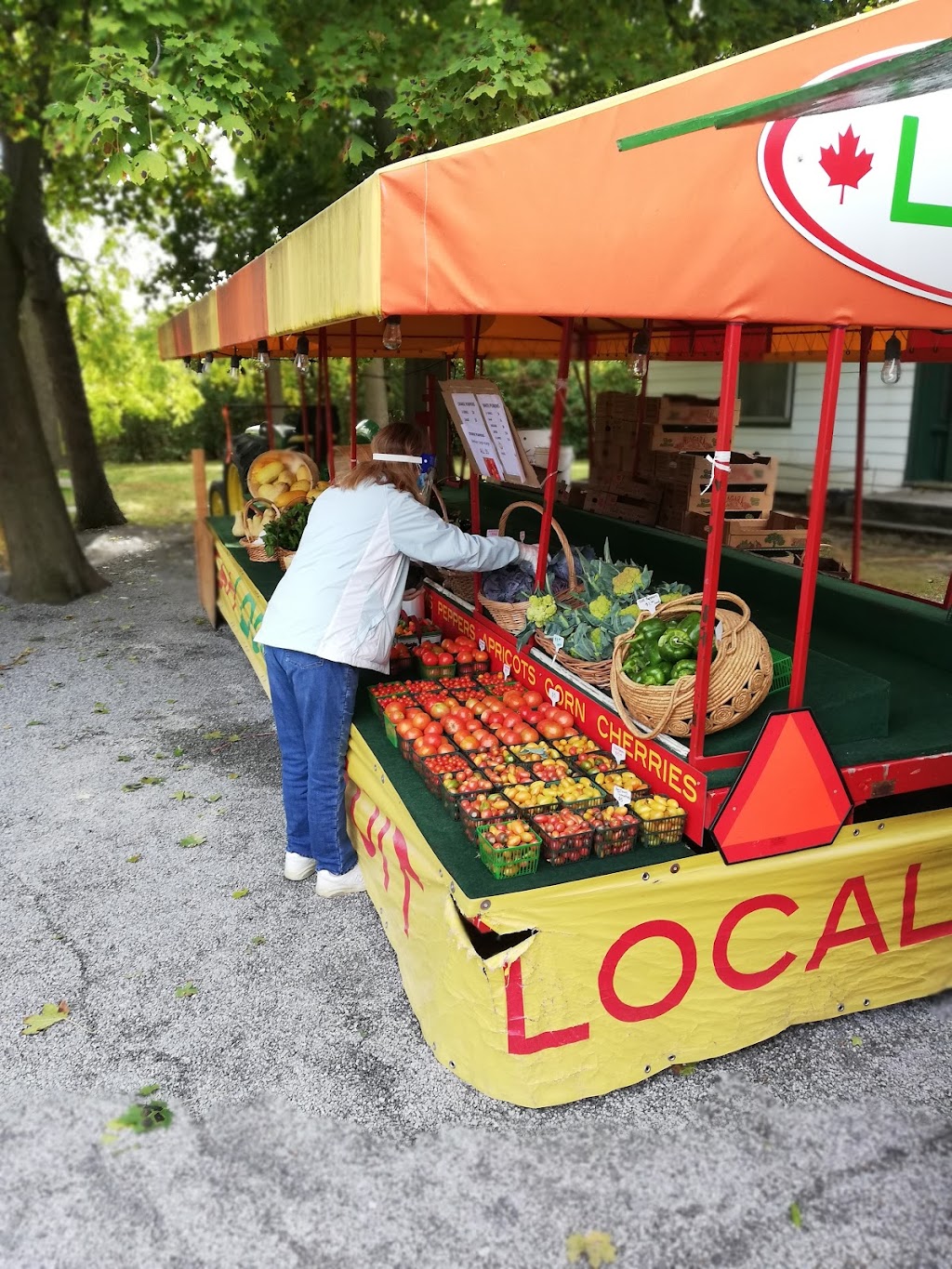 McFarland Park Picnic Pavilion | 15927 Niagara Pkwy, Niagara-on-the-Lake, ON L2E 6T2, Canada | Phone: (905) 468-3322