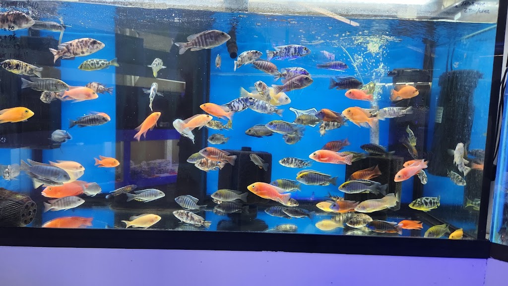 Darrells Aquarium | 2314 US-92, Lakeland, FL 33801, USA | Phone: (863) 937-9000