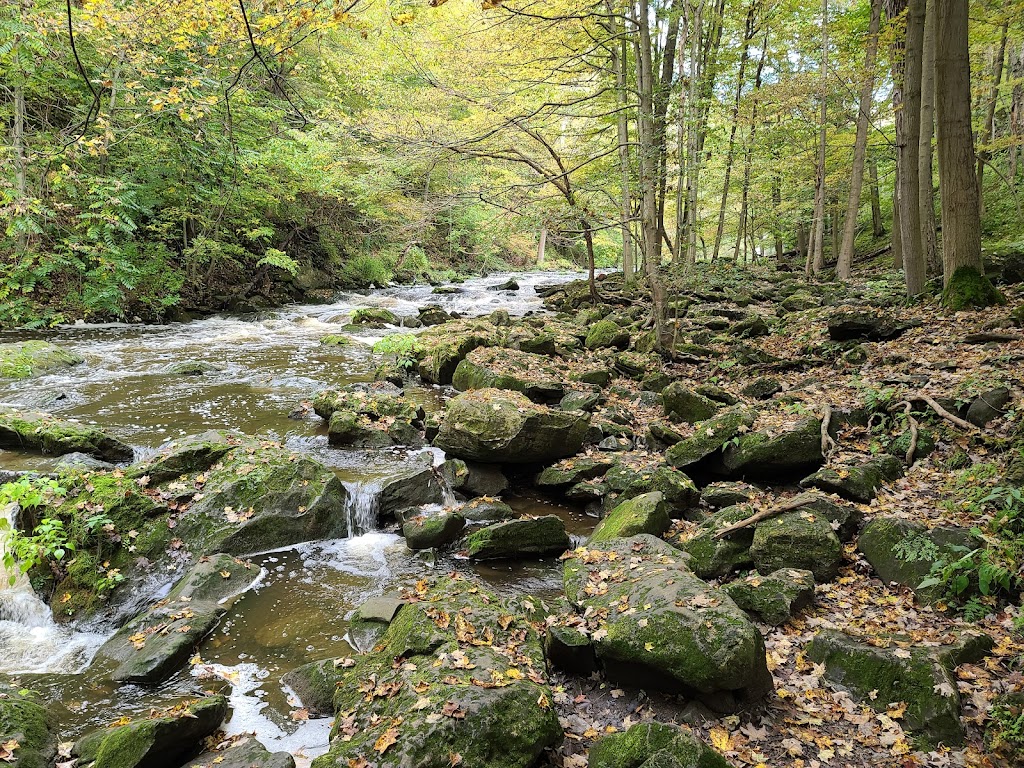 Akron Falls Park | 44 Parkview Dr, Akron, NY 14001, USA | Phone: (716) 542-2330