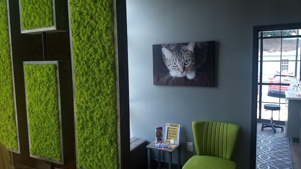 Queen City Animal Hospital | 920 Belmont Ave, Charlotte, NC 28205, USA | Phone: (704) 703-1414
