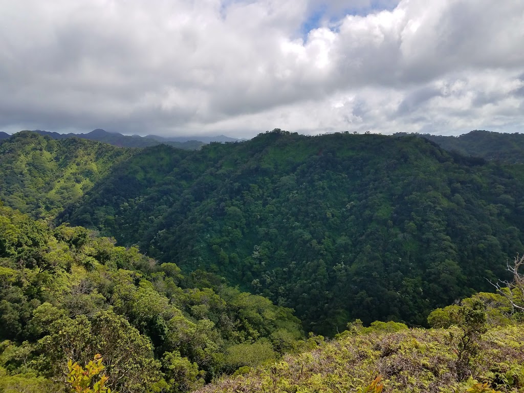 ʻEwa Forest Reserve | Pearl City, HI 96782, USA | Phone: (808) 587-0166