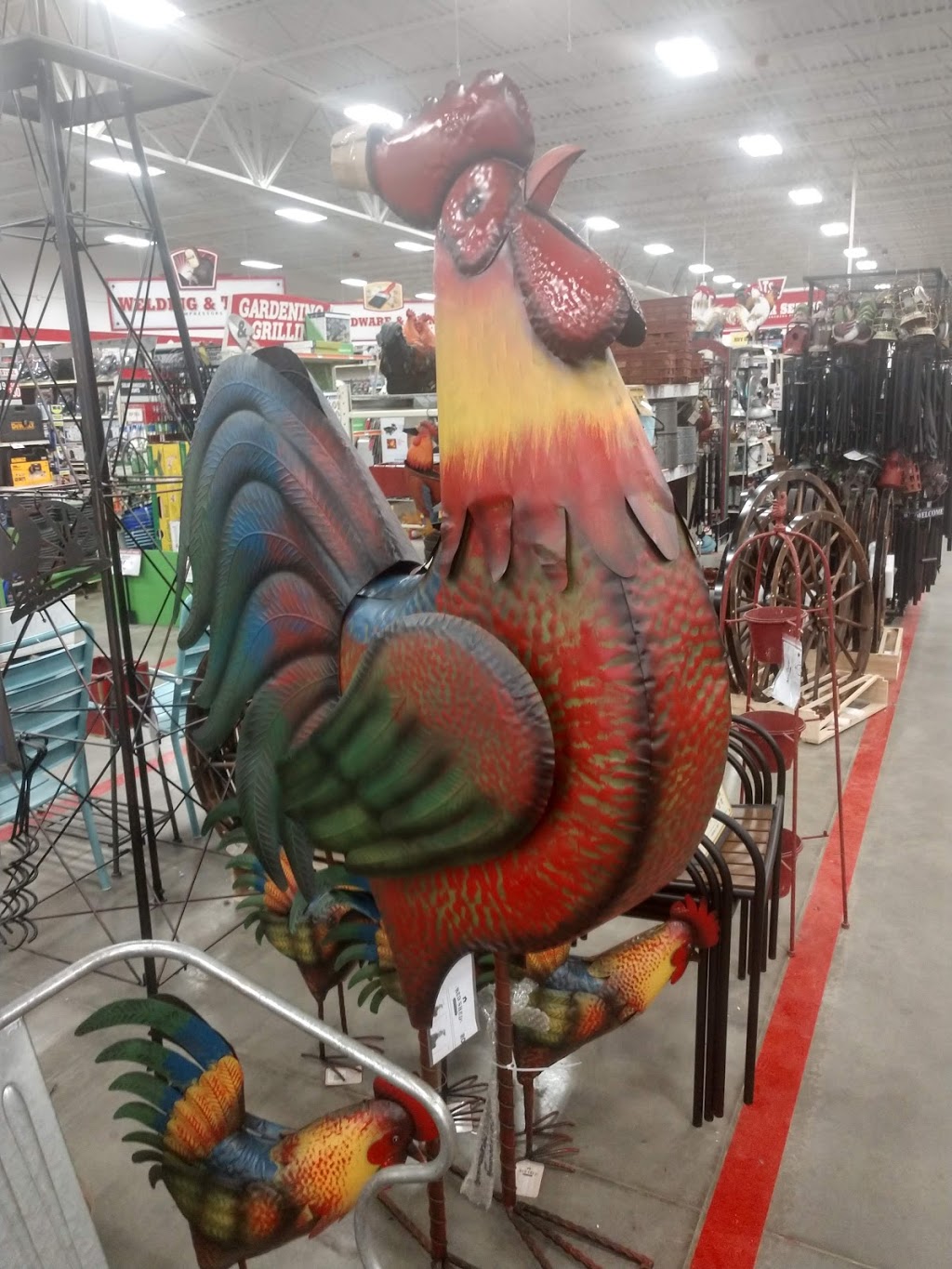 Tractor Supply Co. | 4484 Southwestern Blvd, Hamburg, NY 14075, USA | Phone: (716) 648-5140