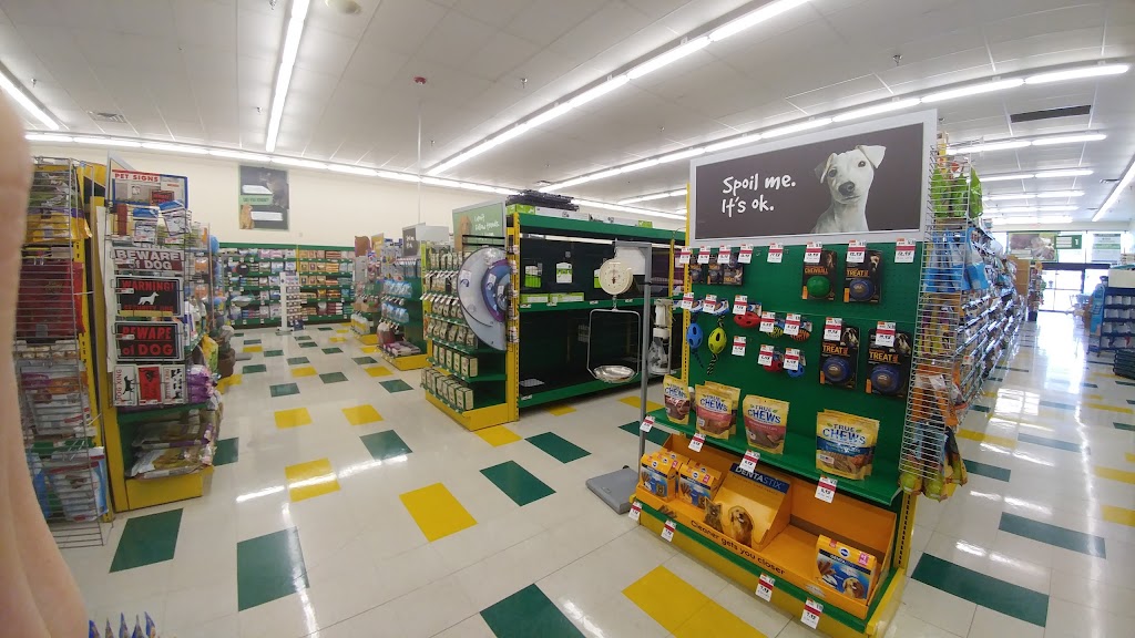 Pet Supplies Plus | 2960 Shallowford Rd, Marietta, GA 30066, USA | Phone: (770) 973-3551