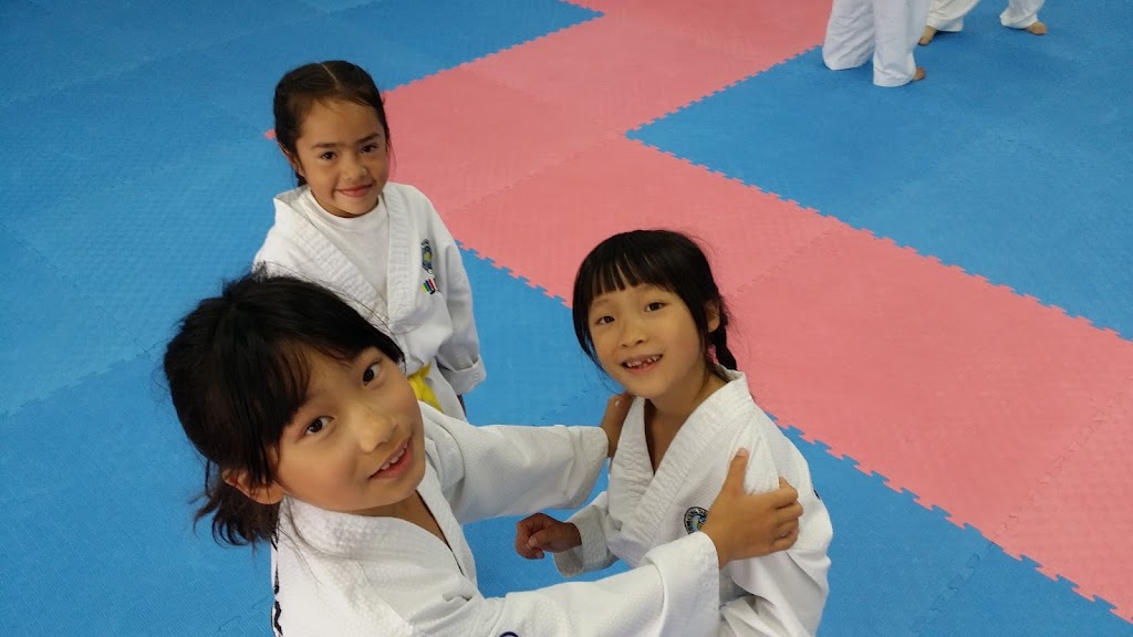 Warrior Code Taekwon-Do Academy | 832 Malone Rd, San Jose, CA 95125, USA | Phone: (408) 724-7122