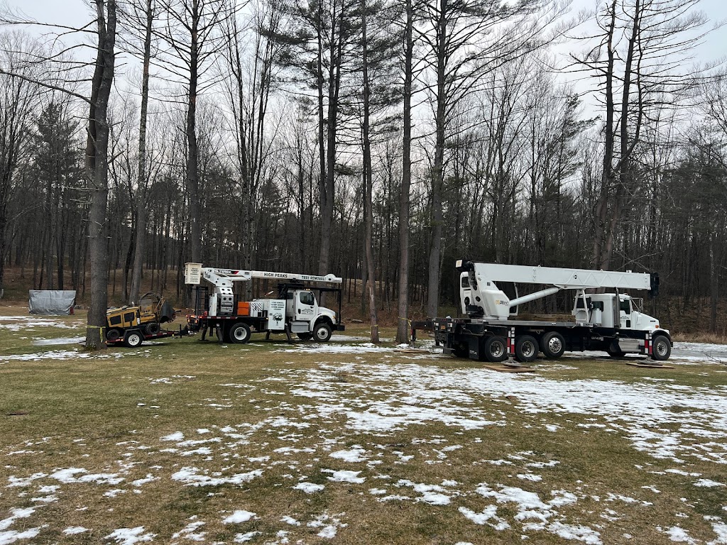 High Peaks Tree Removal | 71 Big Boom Rd, Queensbury, NY 12804, USA | Phone: (518) 668-9601