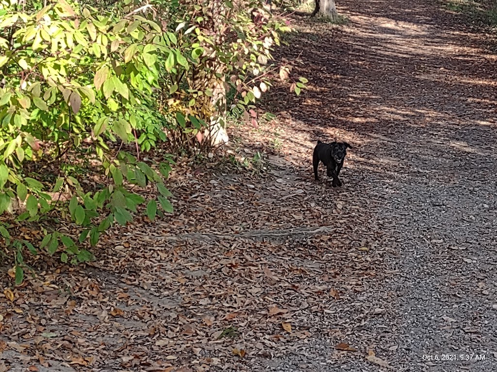 Elm Creek Park Reserve - Dog Off-leash Area | 11750 Zachary Ln N, Champlin, MN 55316, USA | Phone: (763) 694-7894