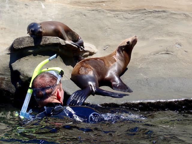 SCUBA SOCAL ADVENTURES | 1623 Cuyamaca Ave, Spring Valley, CA 91977, USA | Phone: (760) 586-3935