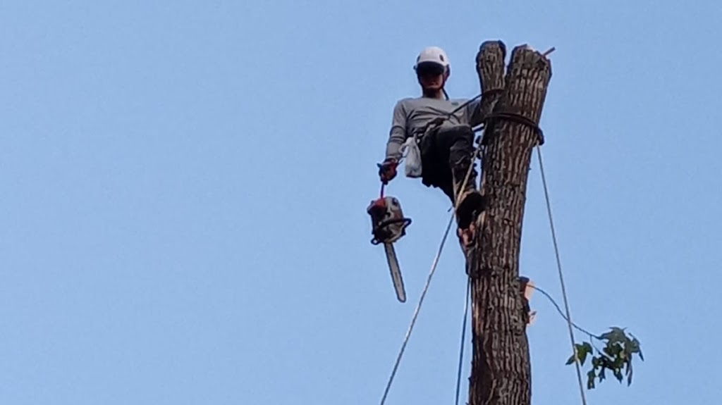 SIAC LLC | 709 Hampton Park Dr, Vestavia Hills, AL 35216, USA | Phone: (205) 667-2568