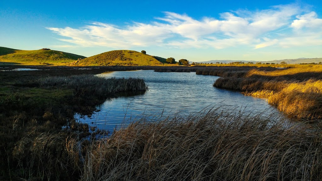 Coyote Hills Regional Park | 8000 Patterson Ranch Rd, Fremont, CA 94555, USA | Phone: (510) 544-3220