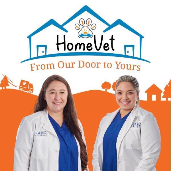 Lakeshore Veterinary Hospital | 155 Moores Rd, Mandeville, LA 70471, USA | Phone: (985) 626-5615