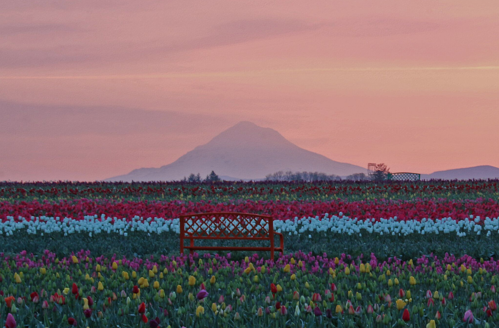 Red Barn Hemp | 33814 S Meridian Rd, Woodburn, OR 97071, USA | Phone: (503) 634-2580