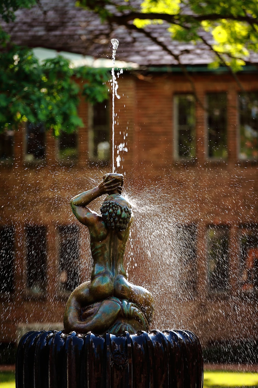 Cranbrook Williams Natatorium | 39221 Woodward Ave, Bloomfield Hills, MI 48304, USA | Phone: (248) 645-3000