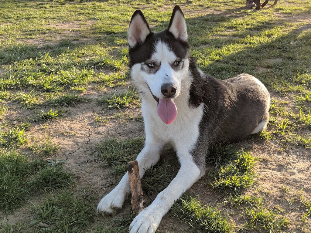 Friends of Alum Creek Dog Park | 3993 Hollenback Rd, Lewis Center, OH 43035, USA | Phone: (740) 548-4631