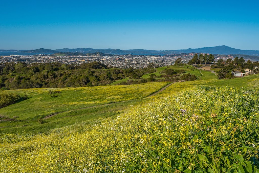 Wildcat Canyon Regional Park | 5755 McBryde Ave, Richmond, CA 94805, USA | Phone: (888) 327-2757