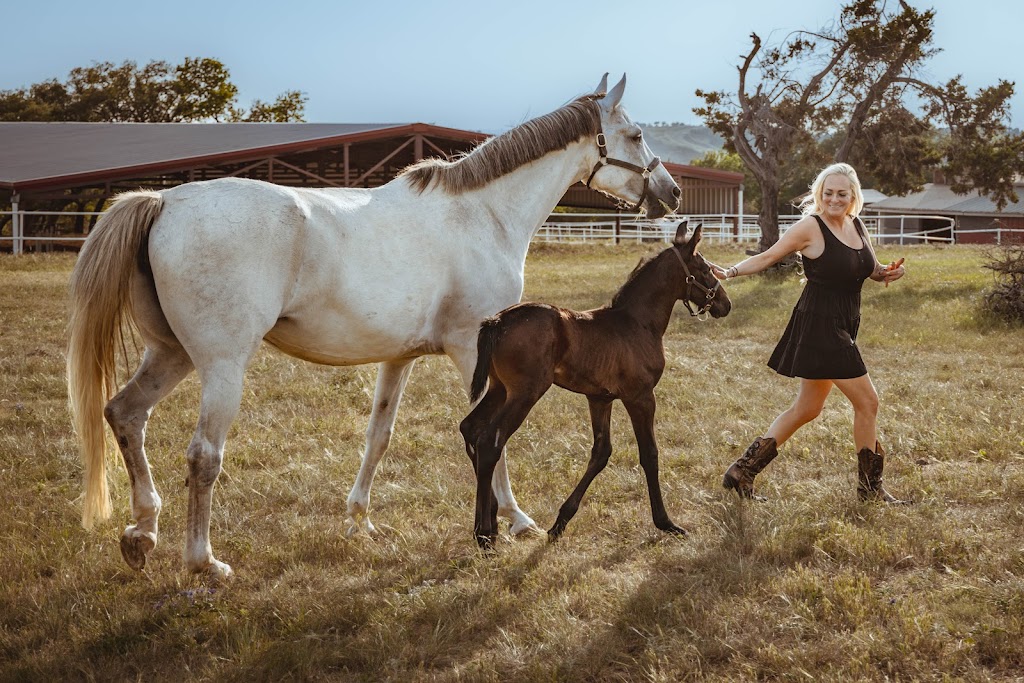 Austin Equine Hospital | 20640 Ranch to Market Rd 150, Driftwood, TX 78619, USA | Phone: (512) 858-0058