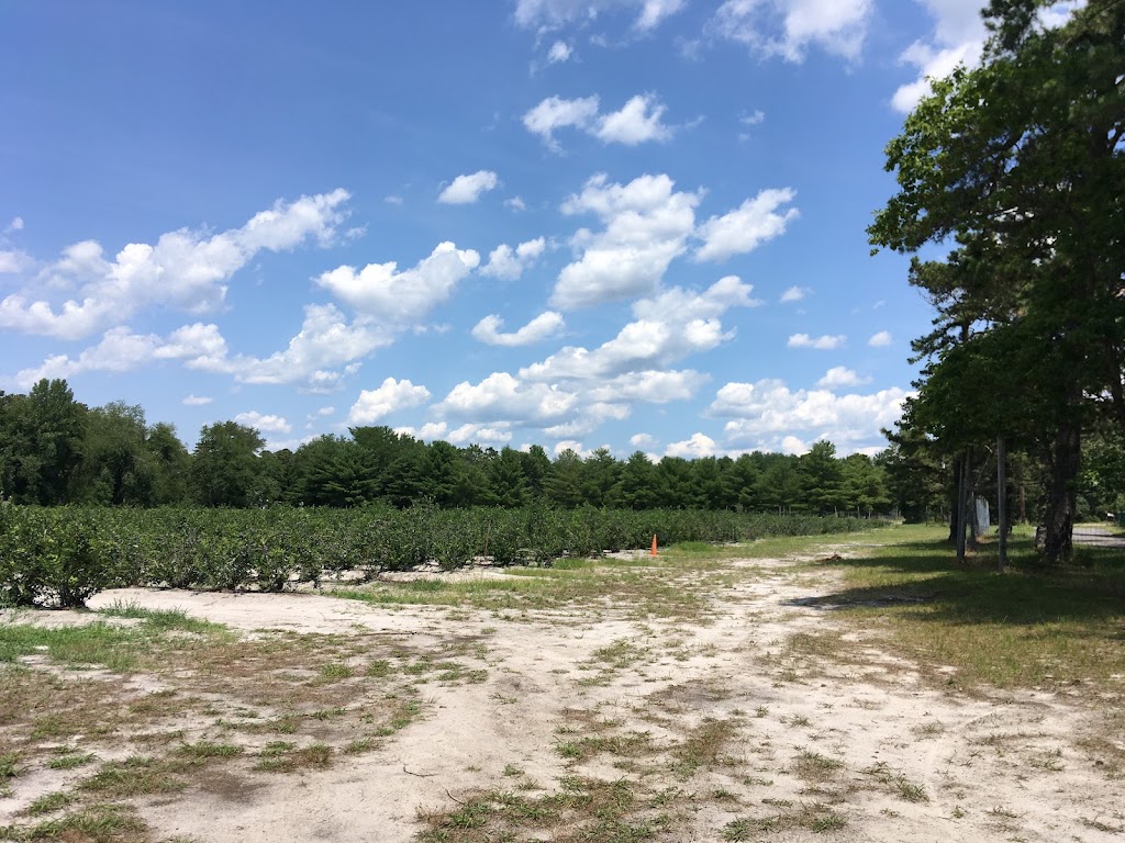 William J Poinsett Farm | 209 Columbus Ave, Browns Mills, NJ 08015, USA | Phone: (609) 744-5522