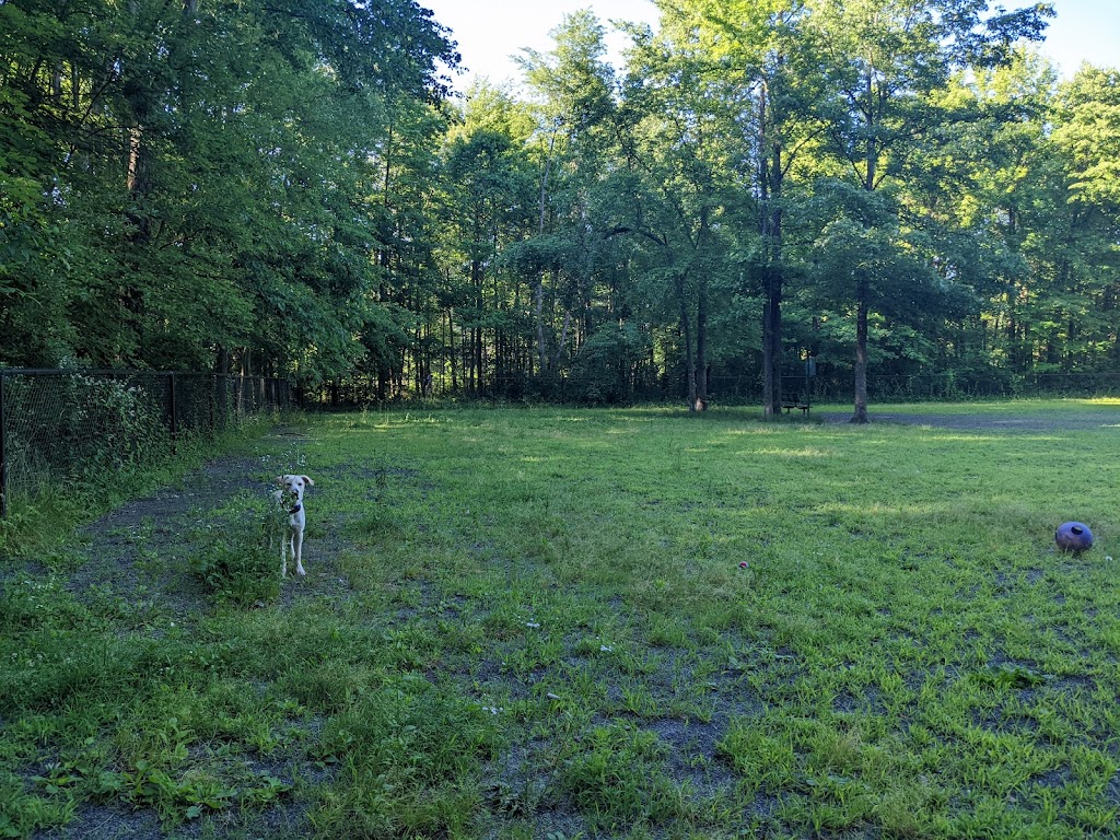 Grist Mill Dog Park | 4710 Mount Vernon Memorial Hwy, Alexandria, VA 22309, USA | Phone: (703) 324-7329