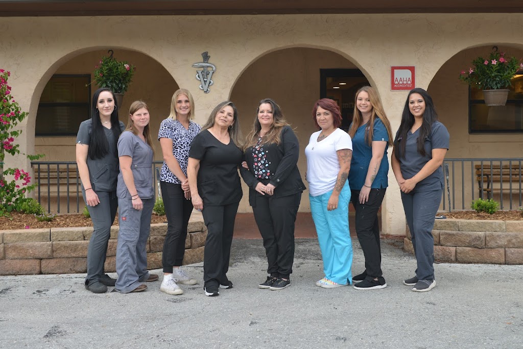 Town & Country Veterinary Clinic | 1051 S Water St, Starke, FL 32091, USA | Phone: (904) 964-6411