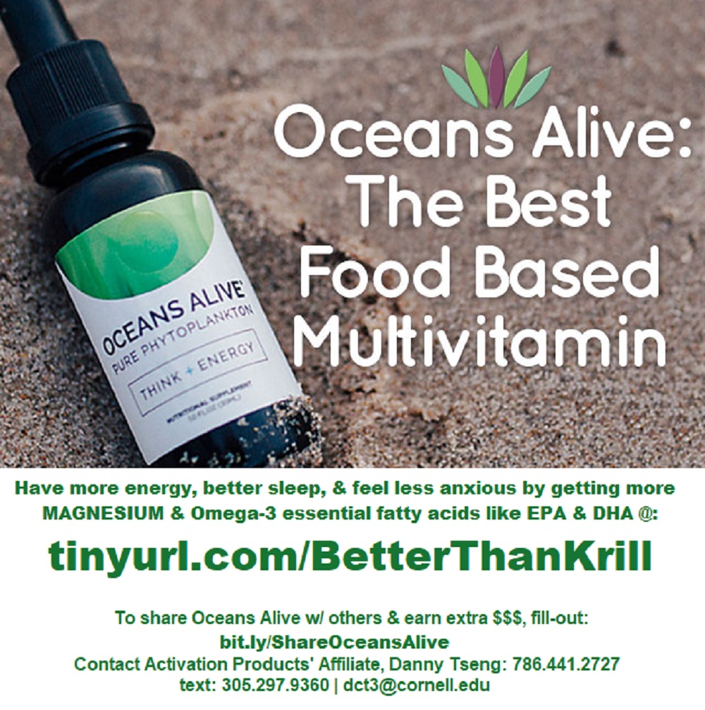 BetterBrain101.com -- BEYOND Bulletproof Health | 7081 Environ Blvd, Lauderhill, FL 33319, USA | Phone: (786) 441-2727