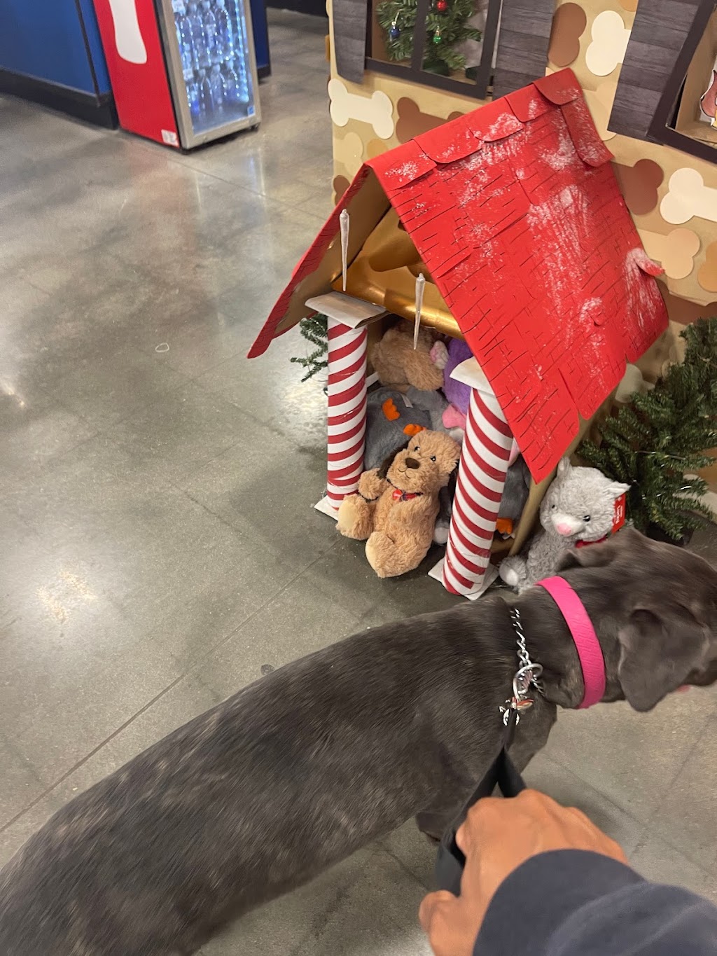 Gibbs Park | 16641 Graham St, Huntington Beach, CA 92649, USA | Phone: (714) 536-5486 Gibbs Park | 16641 Graham St, Huntington Beach, CA 92649, USA | Phone: (714) 536-5486