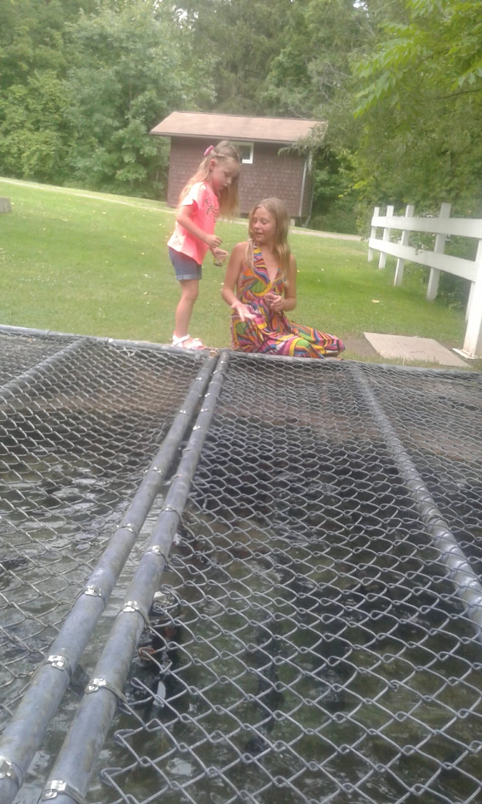 New York State Fish Hatchery | 7169 Fish Hatchery Rd, Bath, NY 14810, USA | Phone: (607) 776-7087