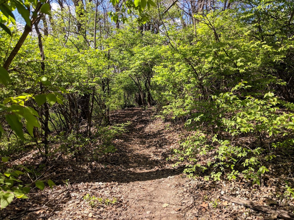 Missouri Greenway Trailhead: Harry S Truman Park | 7029 Howdershell Rd, Hazelwood, MO 63042, USA | Phone: (314) 731-0980