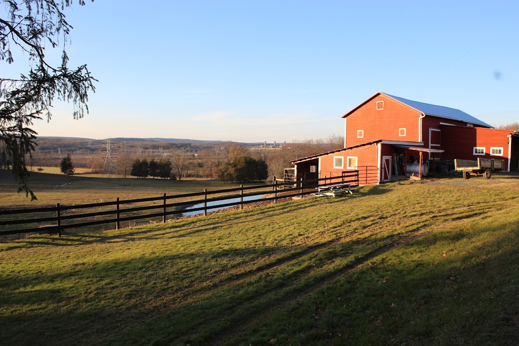 JKW Polled Herefords | 83 Howard Hall Rd, Athens, NY 12015, USA | Phone: (518) 945-2638