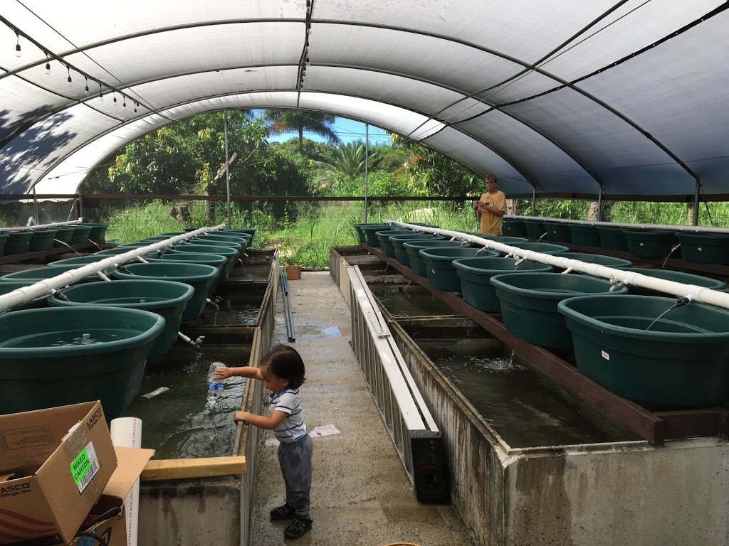 Redland Tropical Fish Farm, Inc | 17880 SW 232nd St, Miami, FL 33170, USA | Phone: (305) 431-1714