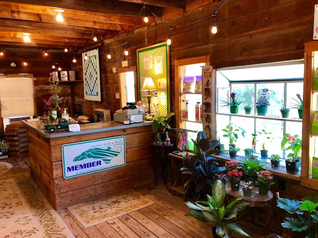 Campbell Road Nursery - Retail | 2804 Campbell Rd, Raleigh, NC 27606, USA | Phone: (919) 854-9892