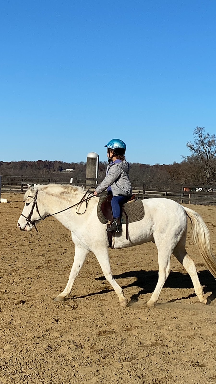 The Riding School at James River Equestrian Center | 414 Huguenot Trail, Midlothian, VA 23113 | Phone: (804) 594-0760