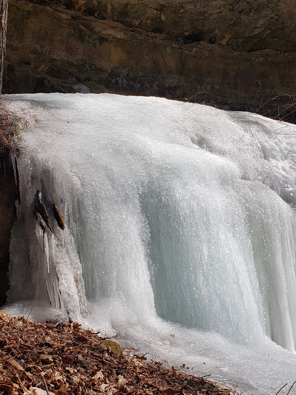 Pine Hollow State Natural Area | North Freedom, WI 53951, USA | Phone: (608) 356-5300