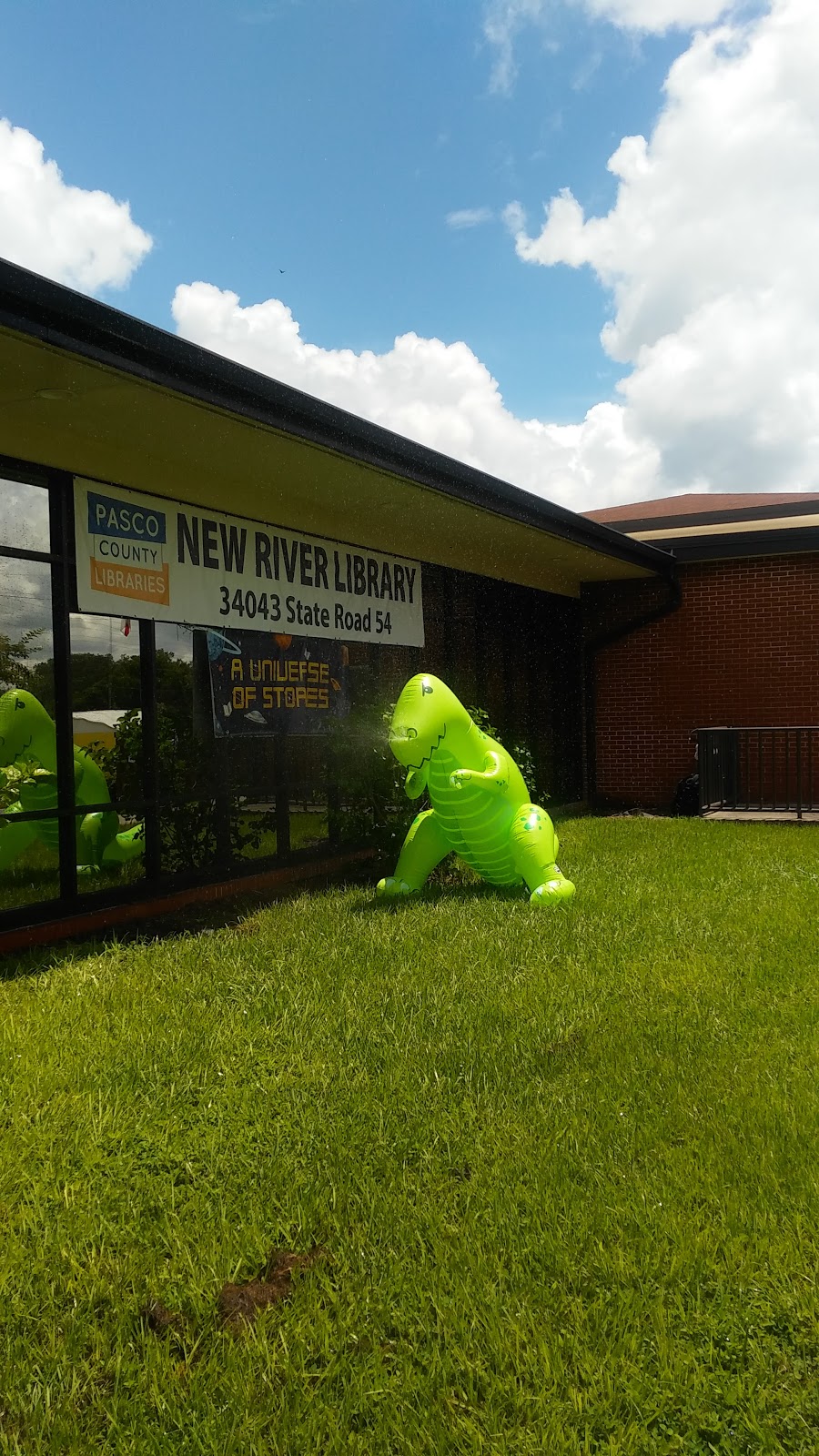 New River Library | 34043 FL-54, Wesley Chapel, FL 33543, USA | Phone: (813) 788-6375