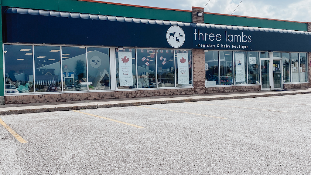 Three Lambs Registry & Baby Boutique | 13444 Tecumseh Rd E, Tecumseh, ON N8N 3N7, Canada | Phone: (519) 735-0035