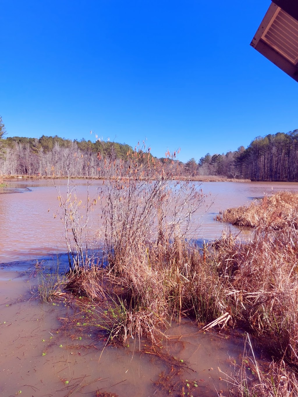 Sams Lake Sanctuary | Old Senoia Rd, Fayetteville, GA 30215, USA | Phone: (770) 486-7774