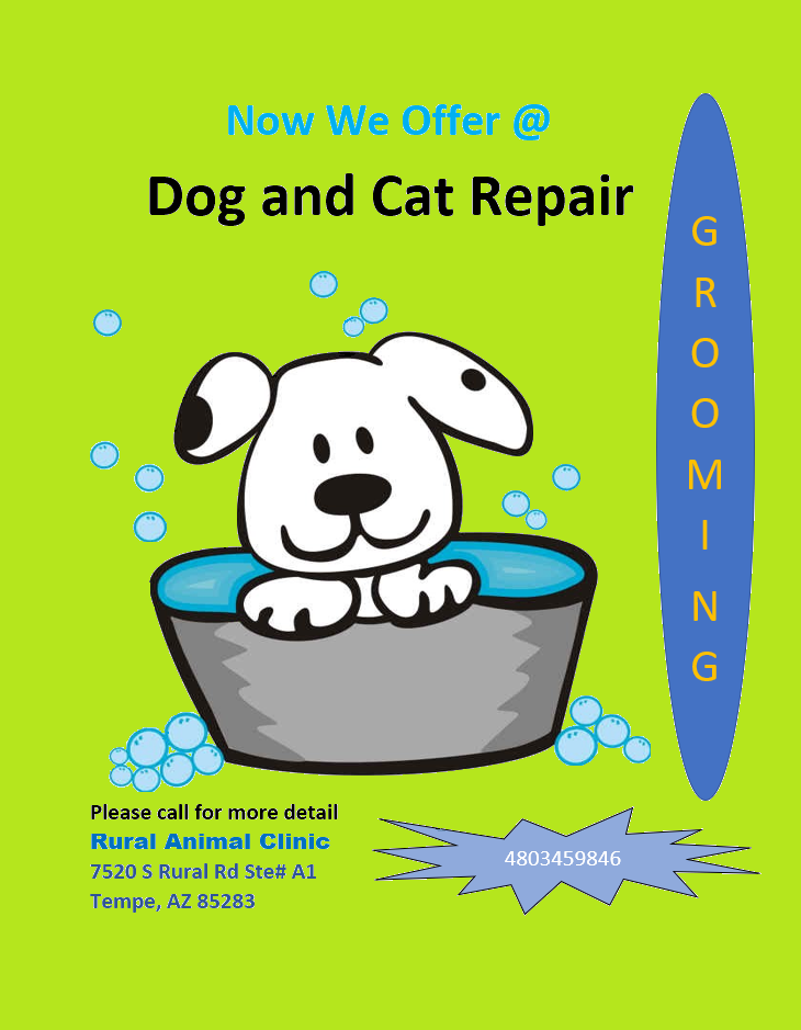 Rural Animal Clinic a.k.a Dog & Cat Repair | 7520 South Rural Road Suite #A1, Tempe, AZ 85283, USA | Phone: (480) 345-9846