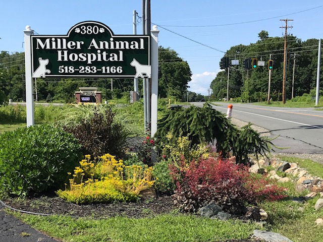 Miller Animal Hospital | 380 N Greenbush Rd, Troy, NY 12180, USA | Phone: (518) 283-1166