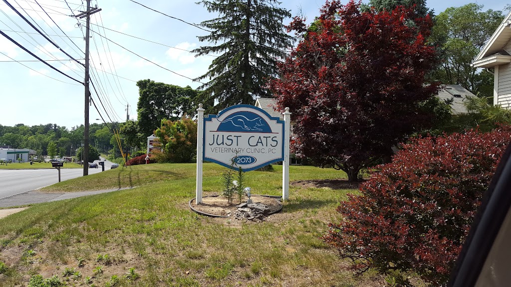 Just Cats Veterinary Clinic | 2073 Western Ave, Guilderland, NY 12084, USA | Phone: (518) 869-5779